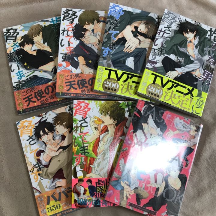 BL漫画まとめ売り　抱かれたい男1位に脅されています　ララの結婚