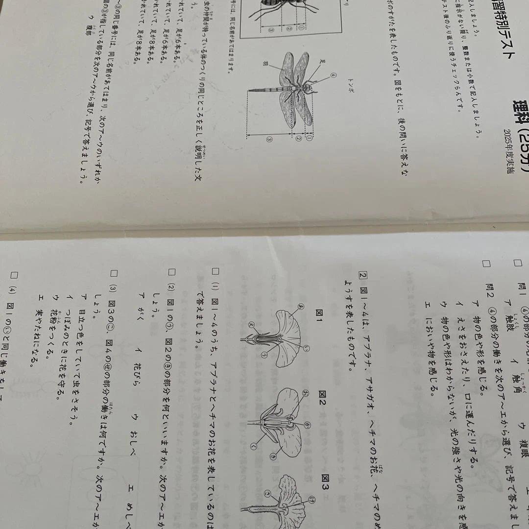 2025年❗️日能研 4年 春期講習特別テスト、発展テキスト - メルカリ