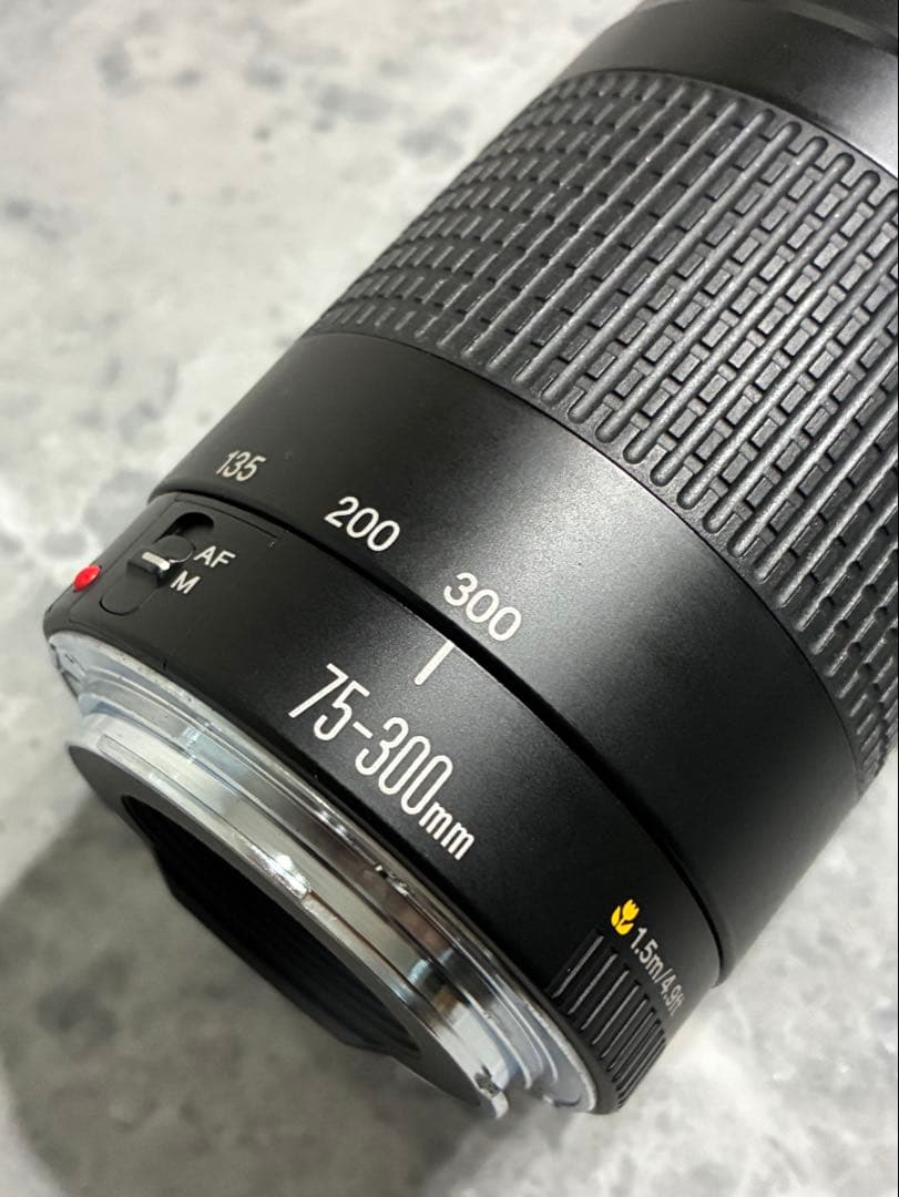 ⭐️美品⭐️Canon EF 75-300mm F/4-5.6 II 望遠レンズ