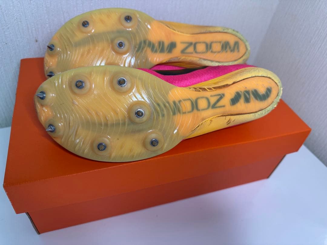 Nike マックスフライ1 25.0cm