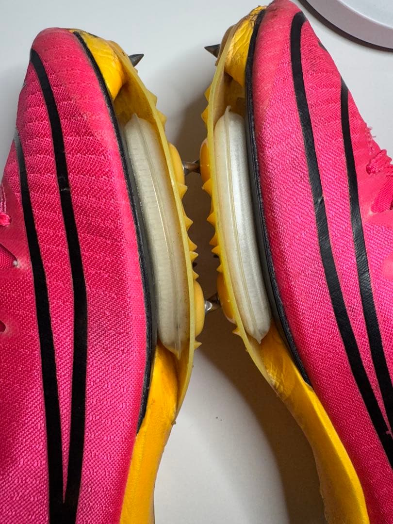 Nike マックスフライ1 25.0cm