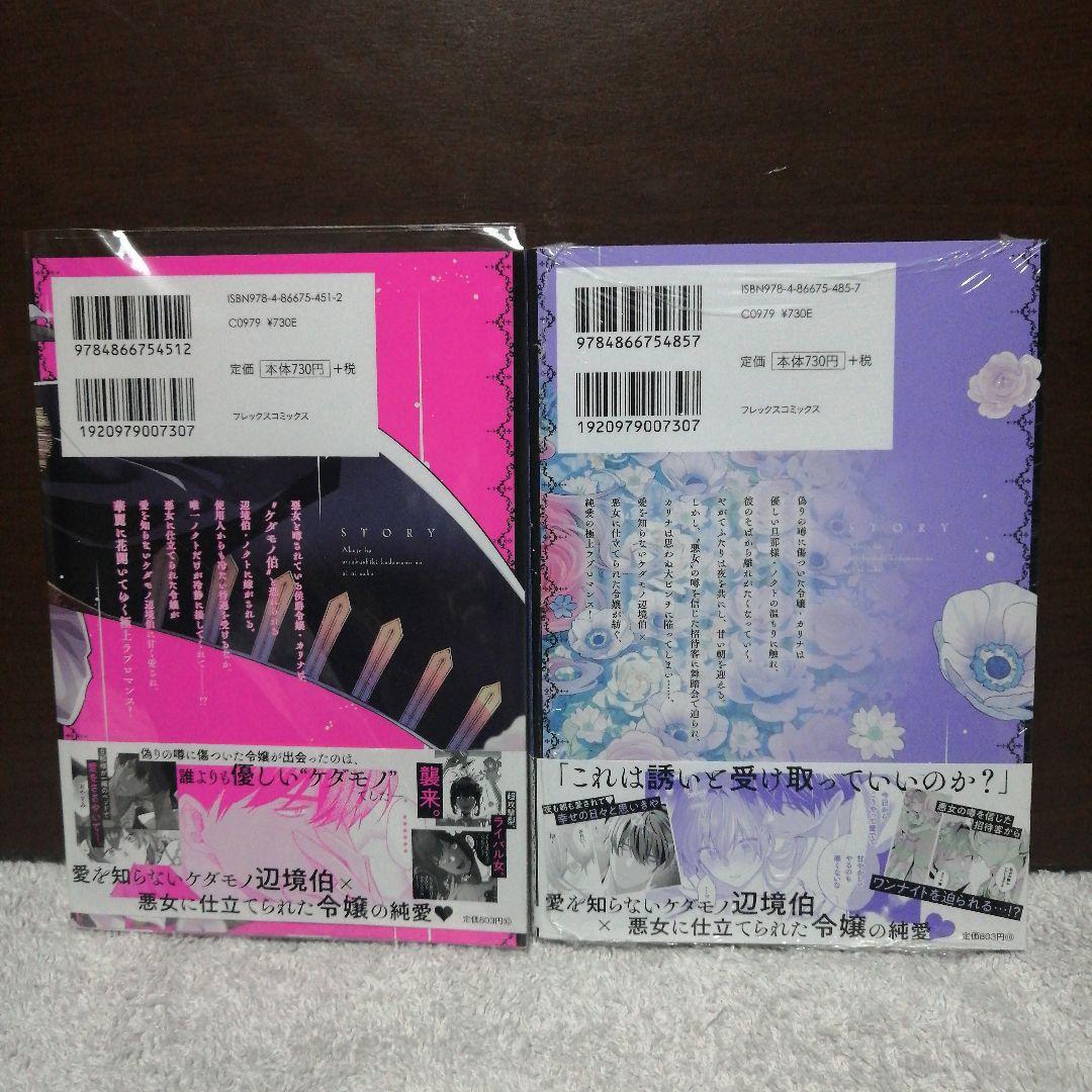 旦那様は妻の私より幼馴染の方が大切なようです