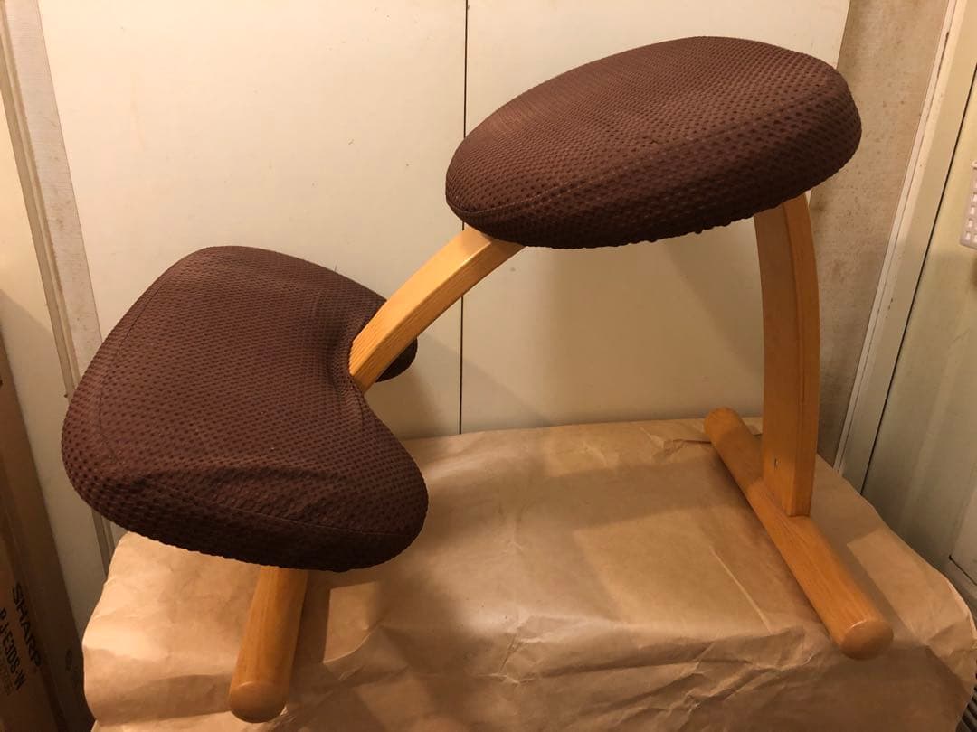 サカモトハウス バランスイージー　カバー付き バランスチェアのサカモトハウス