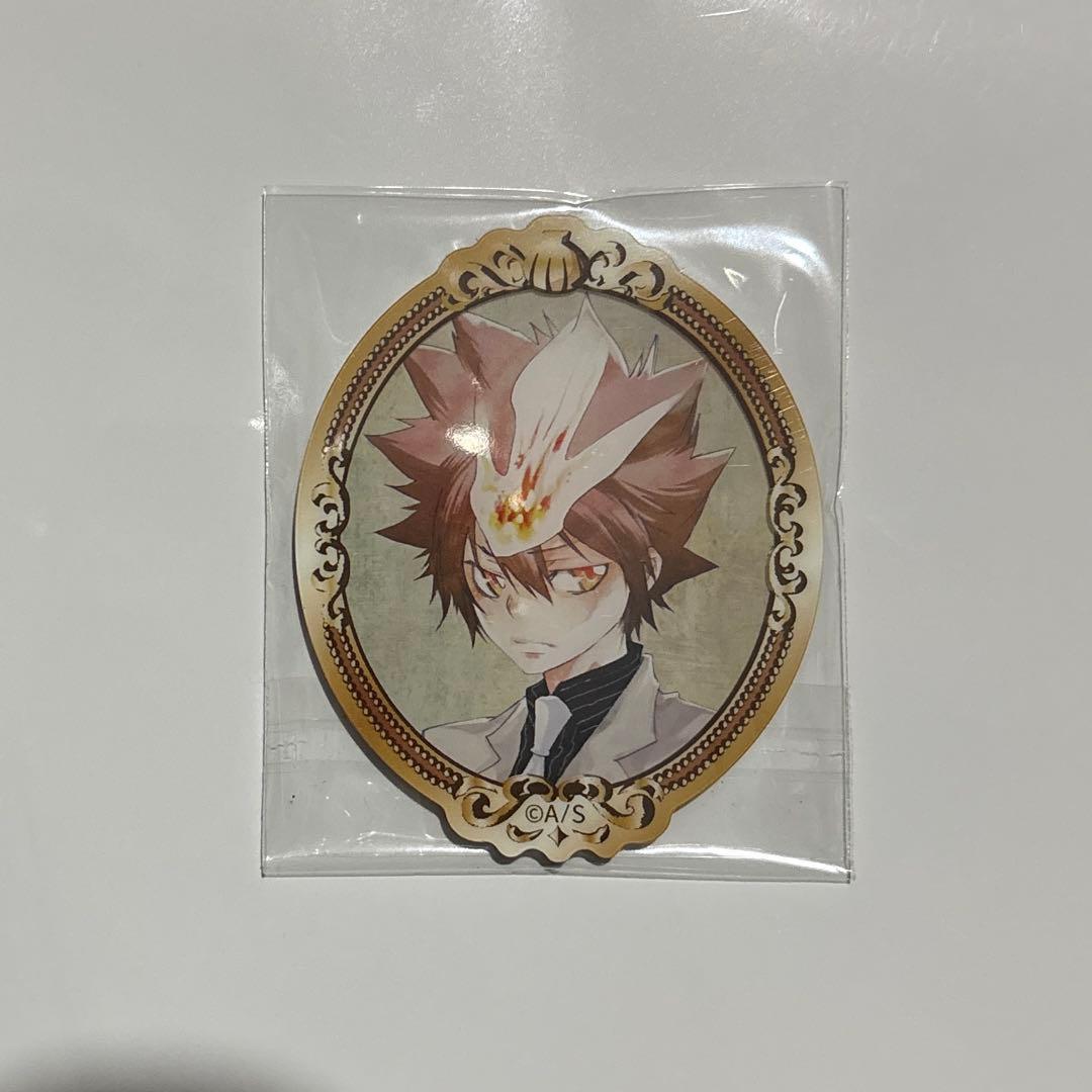 家庭教師ヒットマンREBORN! フレームスタイルマグネット 沢田綱吉