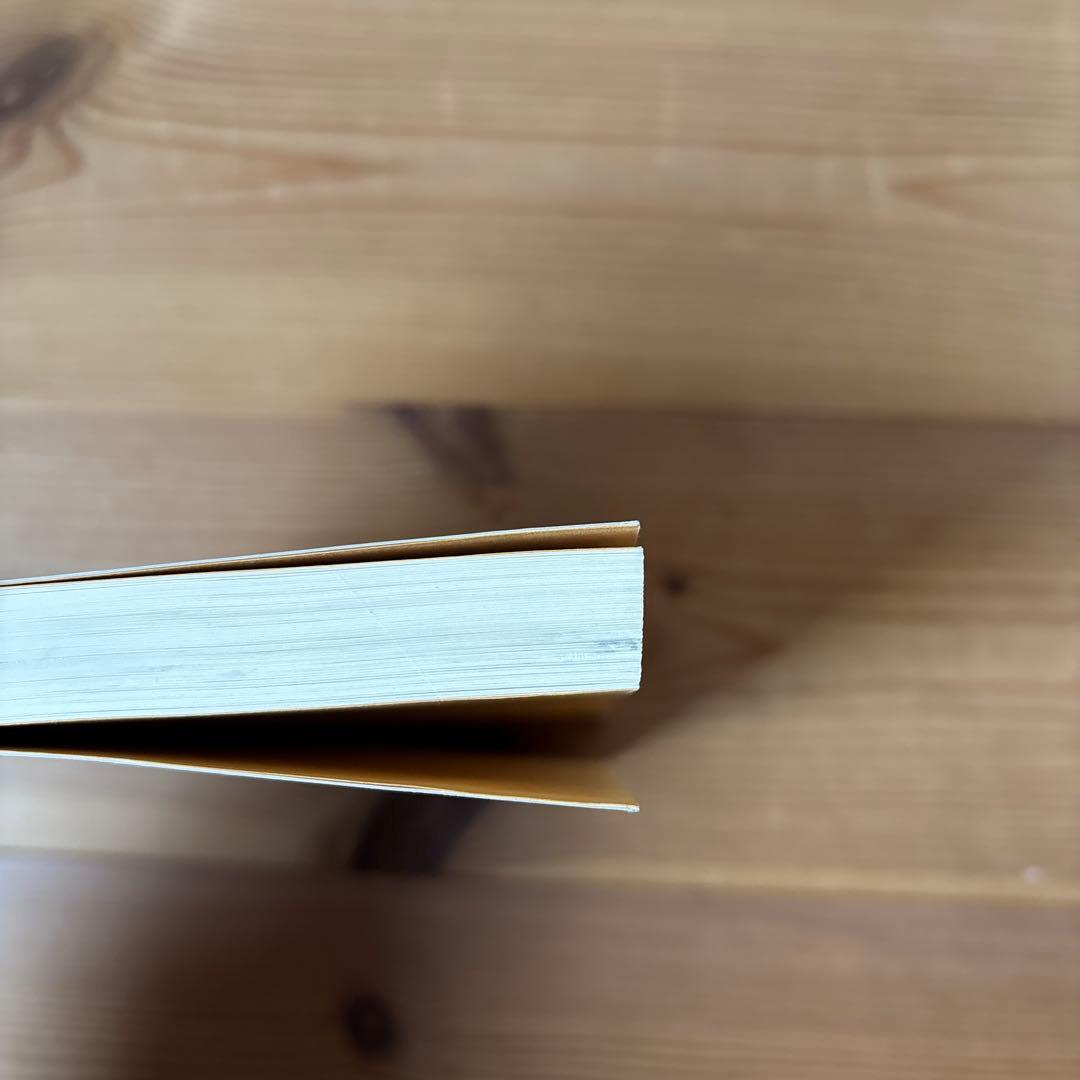 レア品】社会科個別指導入門 山崎林平