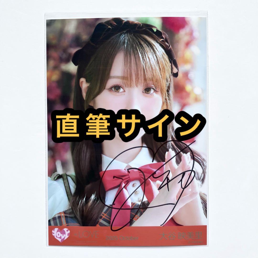 寺本 本鼈甲 16目 理容 櫛 コーム 本鼈甲 ベーク