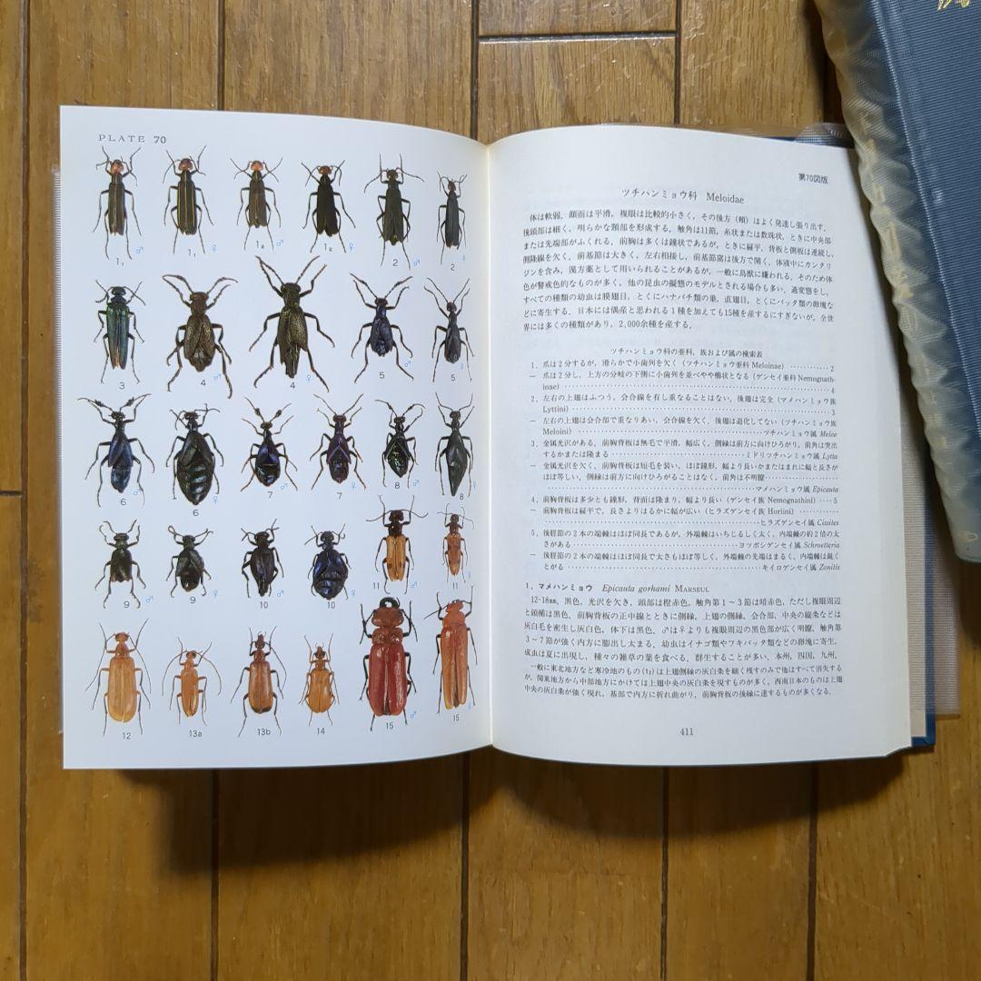 原色日本甲虫図鑑 全4冊 保育社 希少本 初版発行 - メルカリ