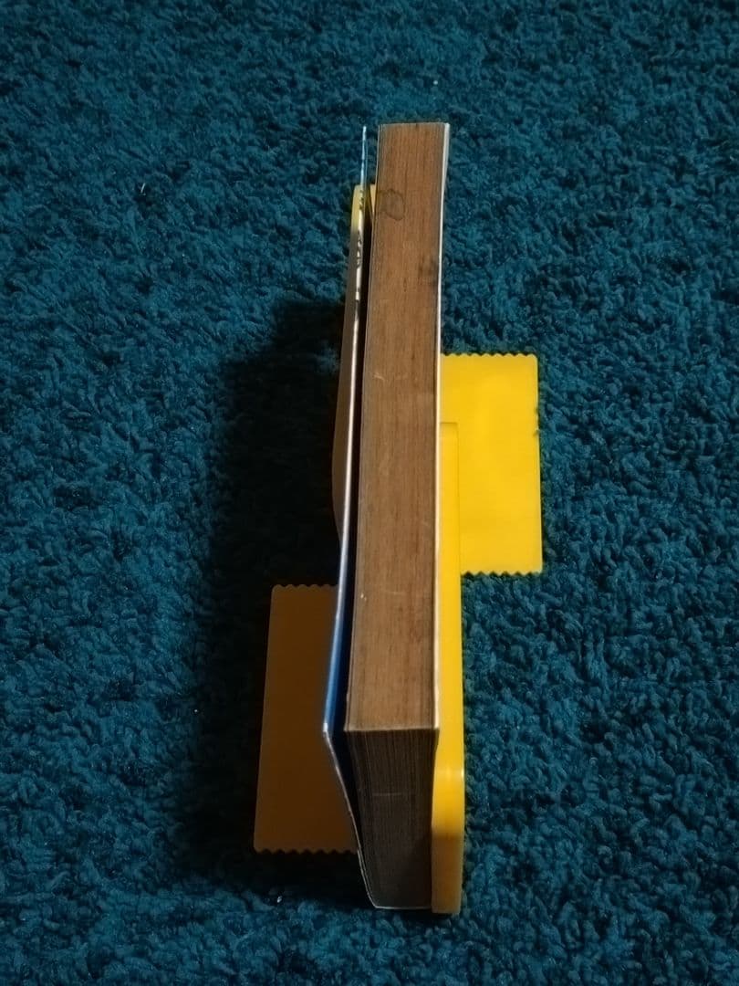 狂ったいけにえ☆1冊〈初版本〉昭和61年 ゴブリン森口