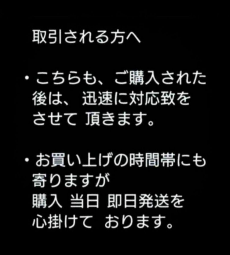 新品 Nintendo Switch Lite 《ブルー》