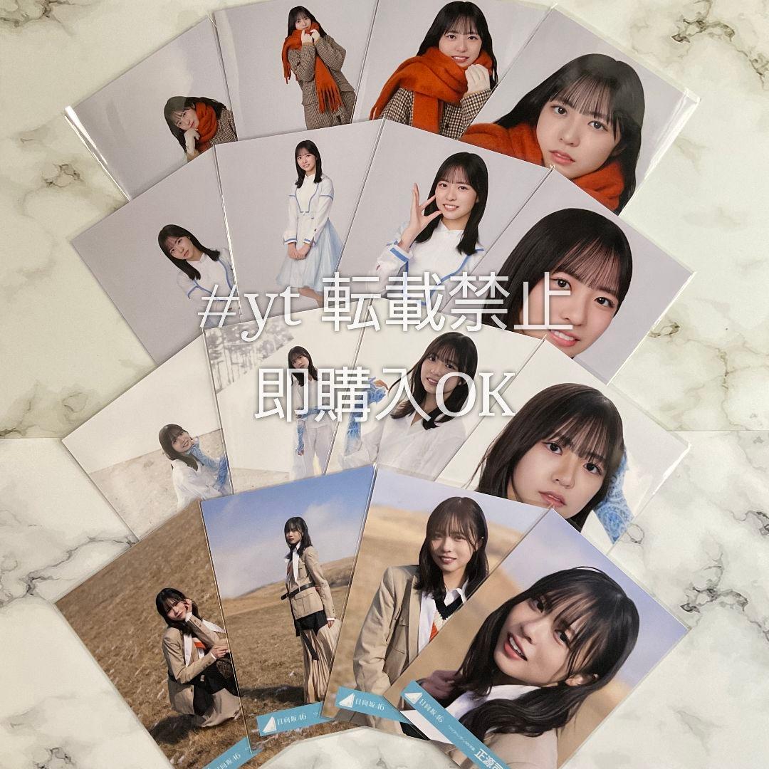 日向坂46 正源司陽子 クリフハンガー 16種コンプ 生写真 - メルカリ