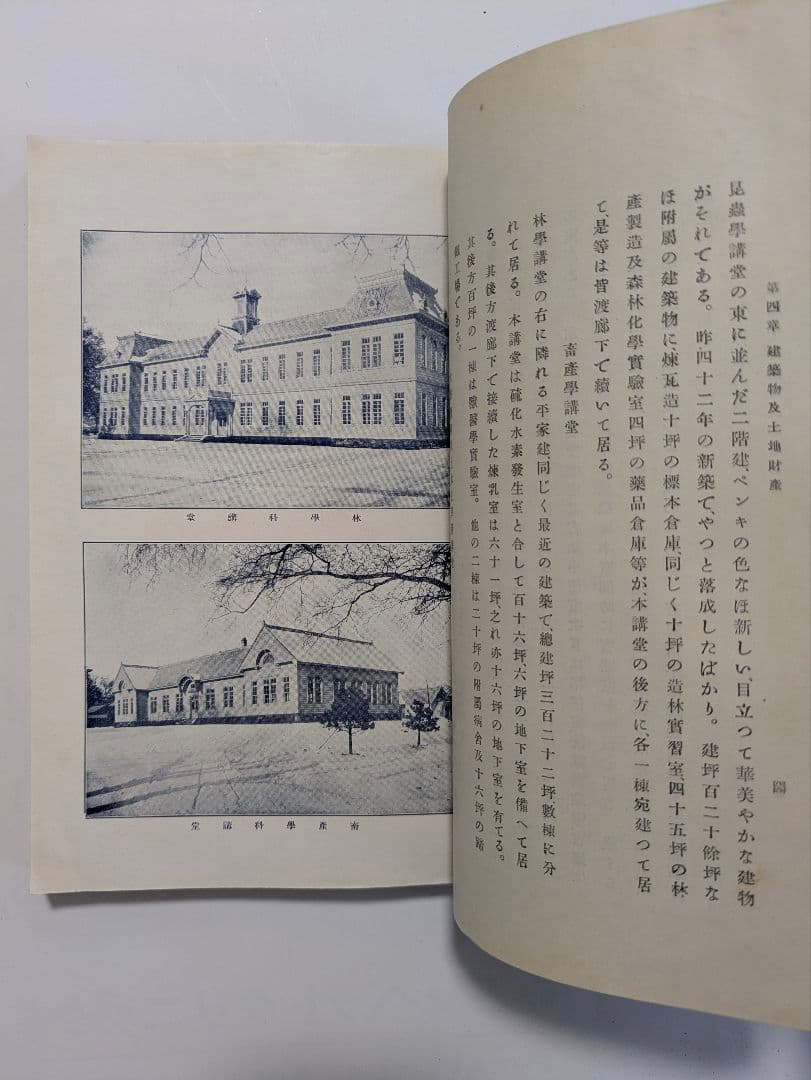 東北帝国大学農科大学 明治43年 富貴堂書房 明治レトロ