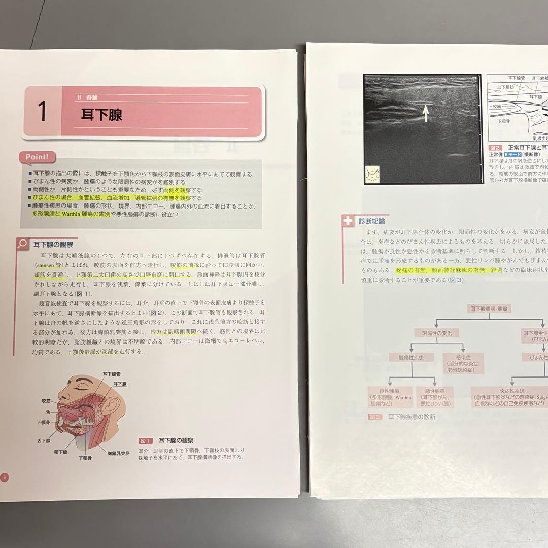 裁断済】頭頸部エコーアトラス - メルカリ