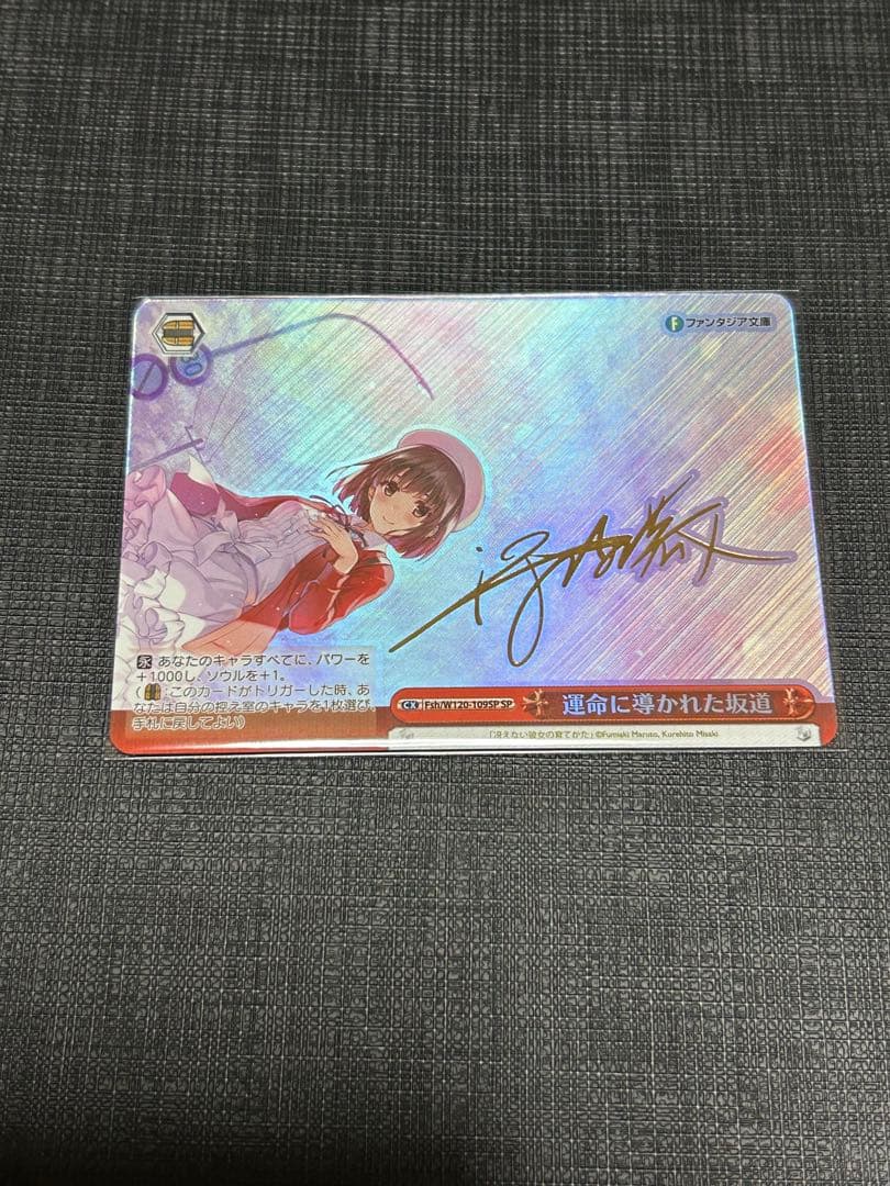 運命に導かれた坂道 SP