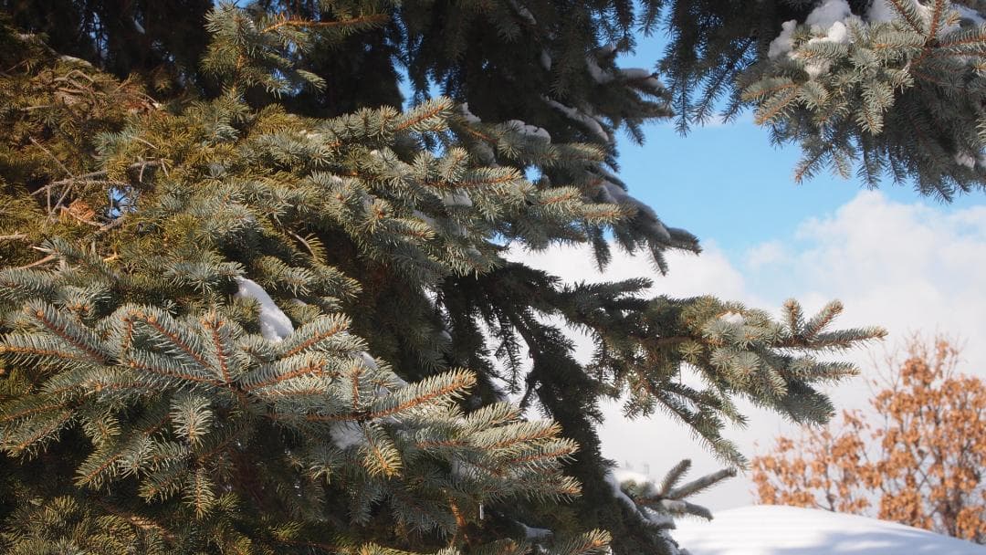 オリンパス M.ZUIKO DIGITAL 14-42mm F3.5-5.6