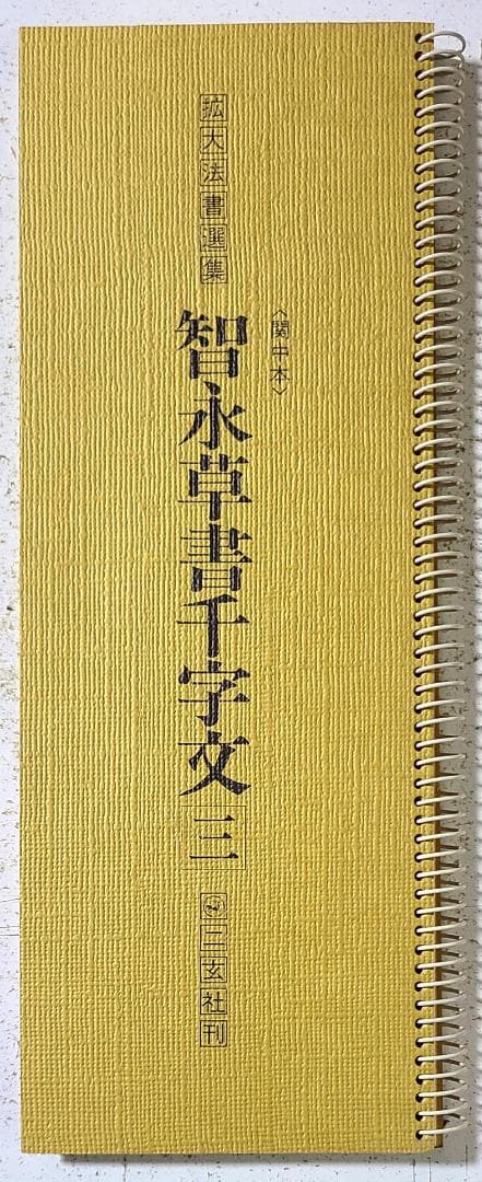 拡大法書撰選集31 智永草書千字文㈡〈関中本〉 - メルカリ