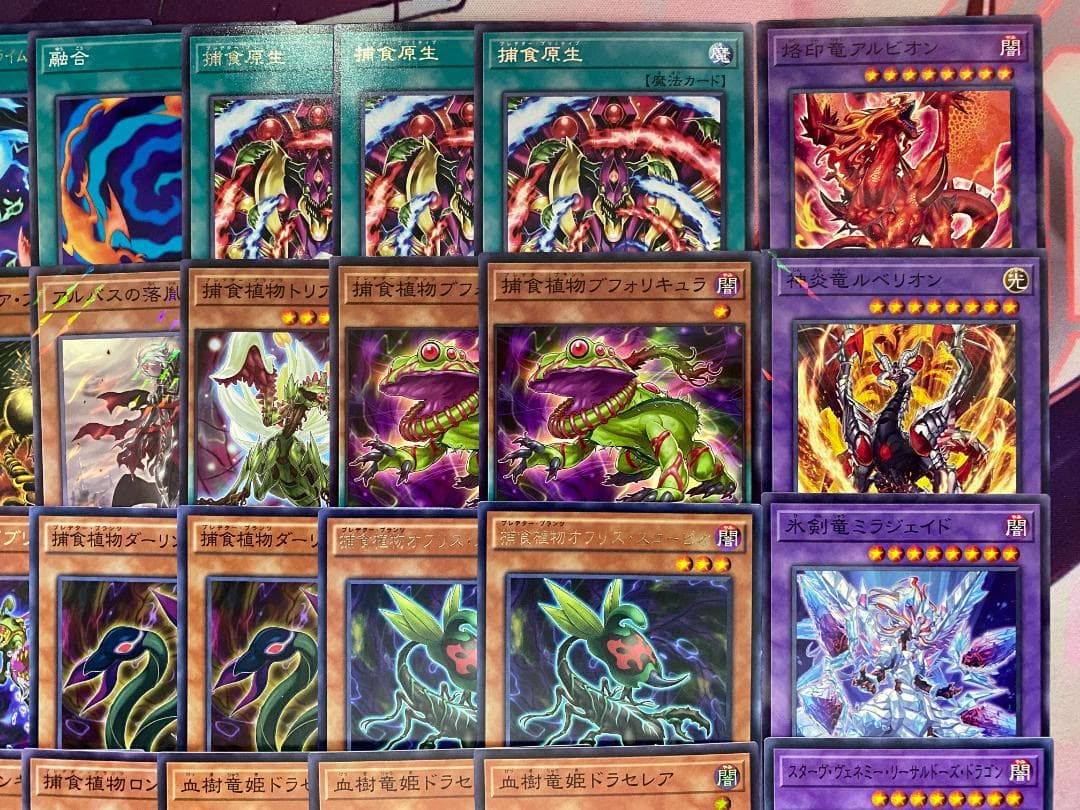 002 遊戯王 烙印捕食植物 プレデタープランツ 本格構築済みデッキ