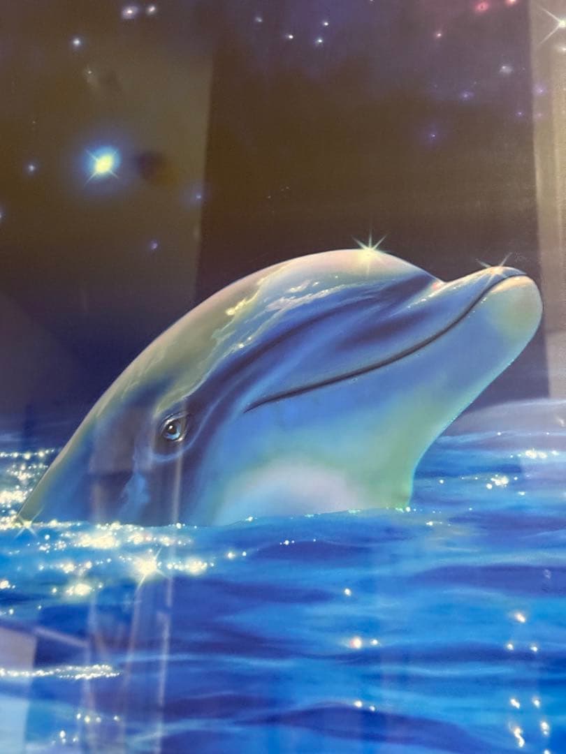 クリスチャン ラッセン スターリーアイズL 直筆彩色あり 直筆サイン