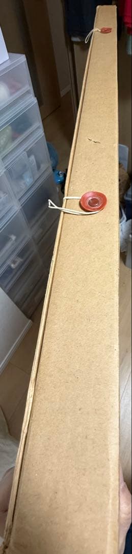 クリスチャン ラッセン スターリーアイズL 直筆彩色あり 直筆サイン