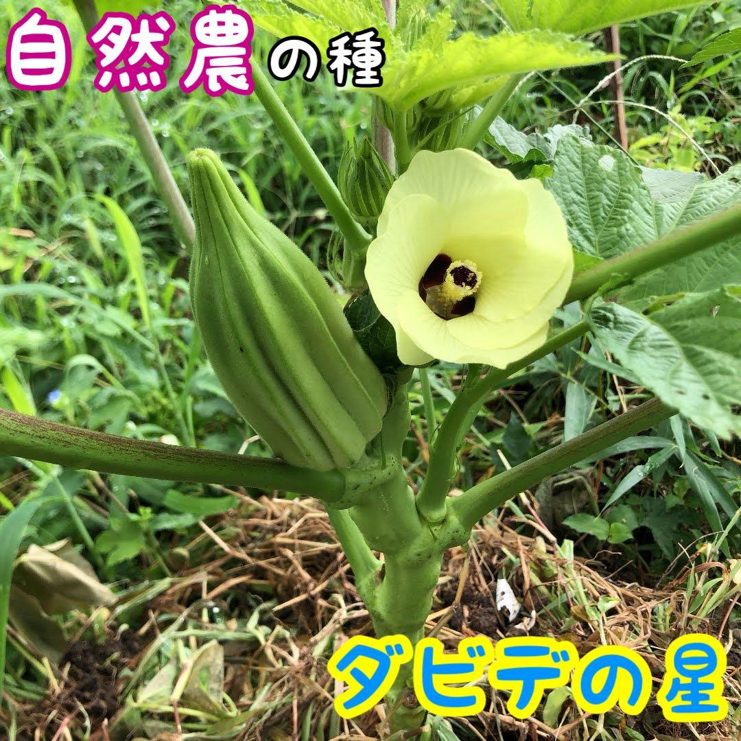 saboten様 リクエスト 2点 まとめ商品 - メルカリ