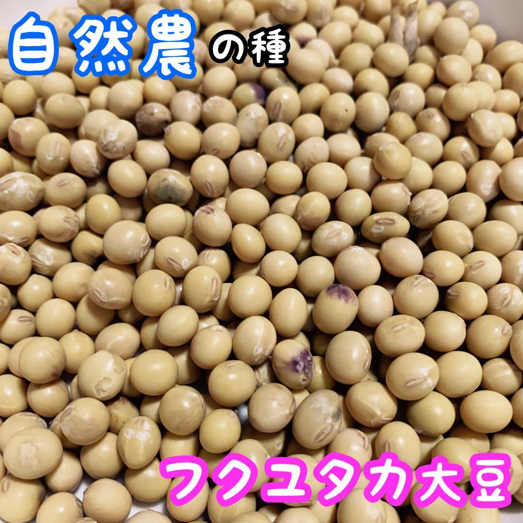 saboten様 リクエスト 2点 まとめ商品 - メルカリ