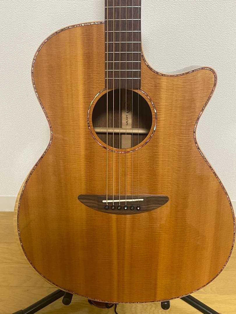 エレアコギター DCT GR742CE