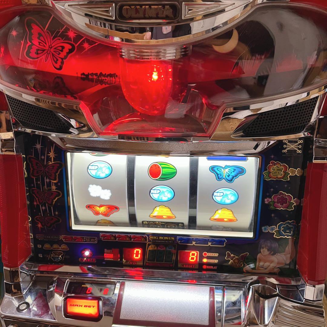 美品 人気機種 南国育ち 沖スロ 音量調整可 メダル不要 パチスロ実機