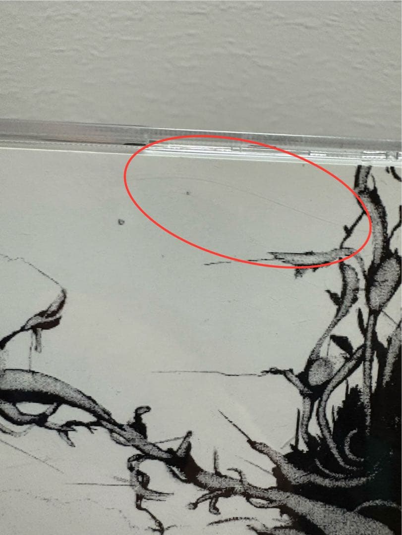 値下げ交渉可 心象スケッチ/ZONE THE DARKNESS(ZORN) - メルカリ