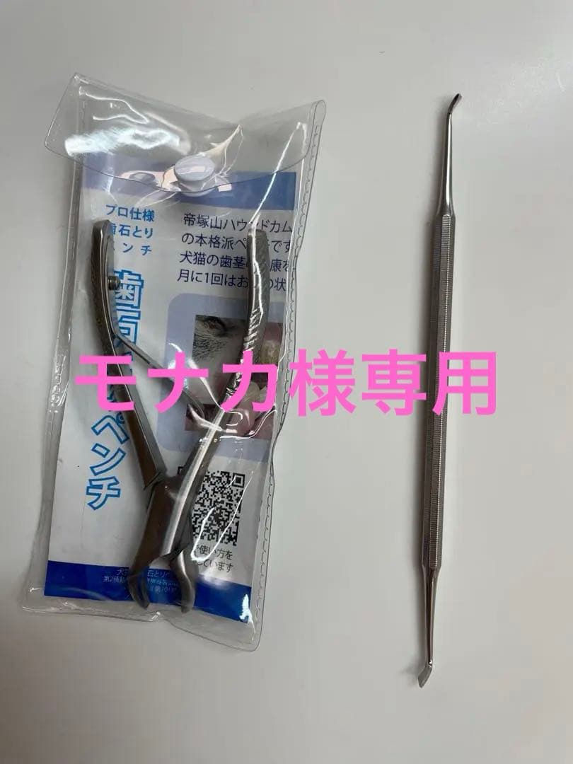 ペット用歯石取りペンチ 約15cm と　スケーラー 楽天市場】犬 スケーラー 歯石取り ペンチ 器具 ペット用 デンタルケア