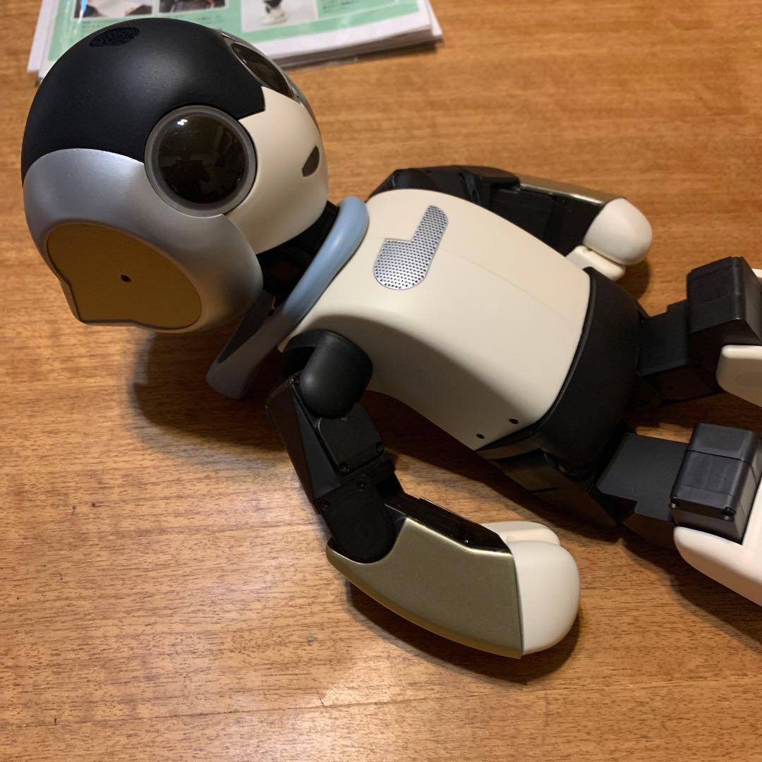 色替えRobi ロビ 2DX版　完動品　オーナー愛称登録してお譲りします。