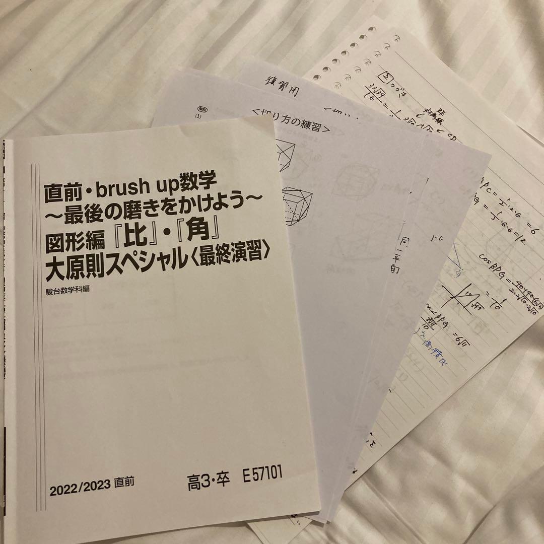 駿台 直前brush up 数学 図形編 「比」「角」大原則スペシャルテキスト