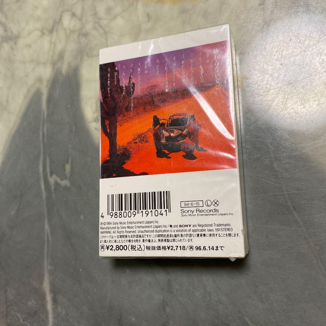 新品　絶版　TUBE 終わらない夏に　カセット