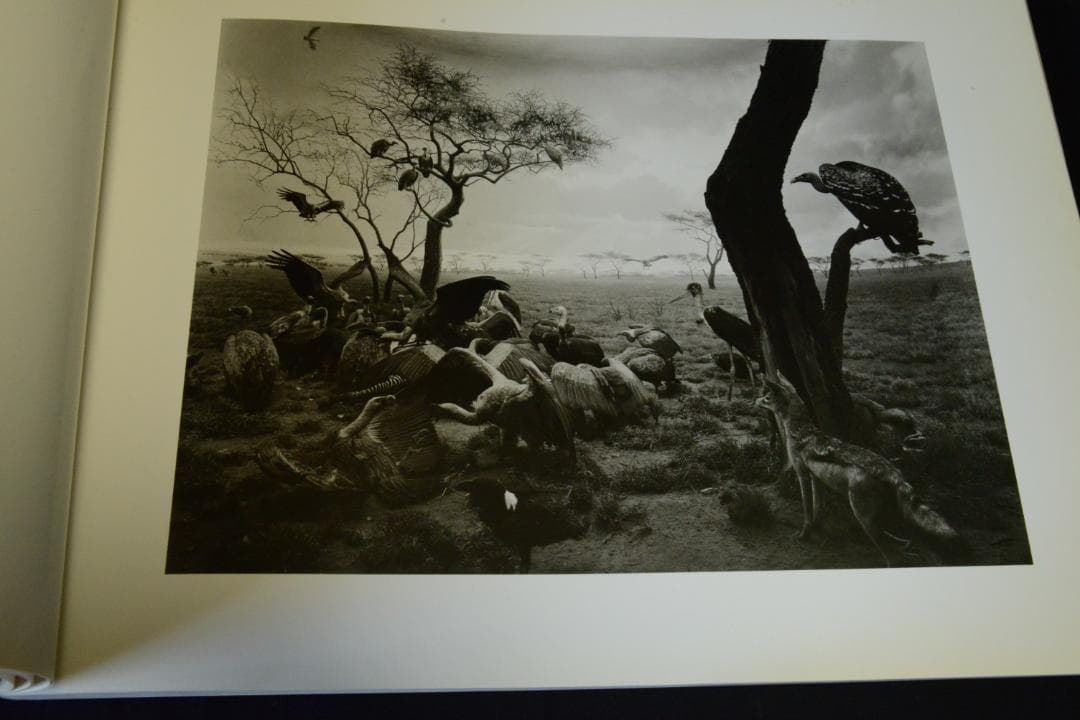 SUGIMOTO】杉本博司写真集 大幅に再値下げしました - メルカリ