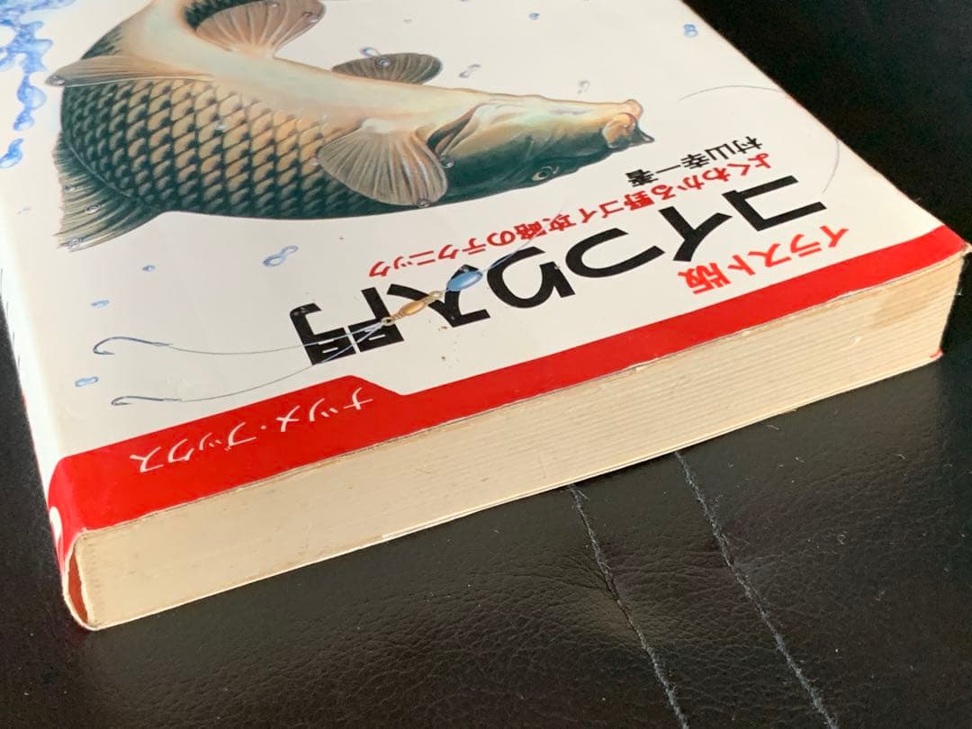 【稀少】イラスト版　コイつり入門　村山幸一著　ナツメ社