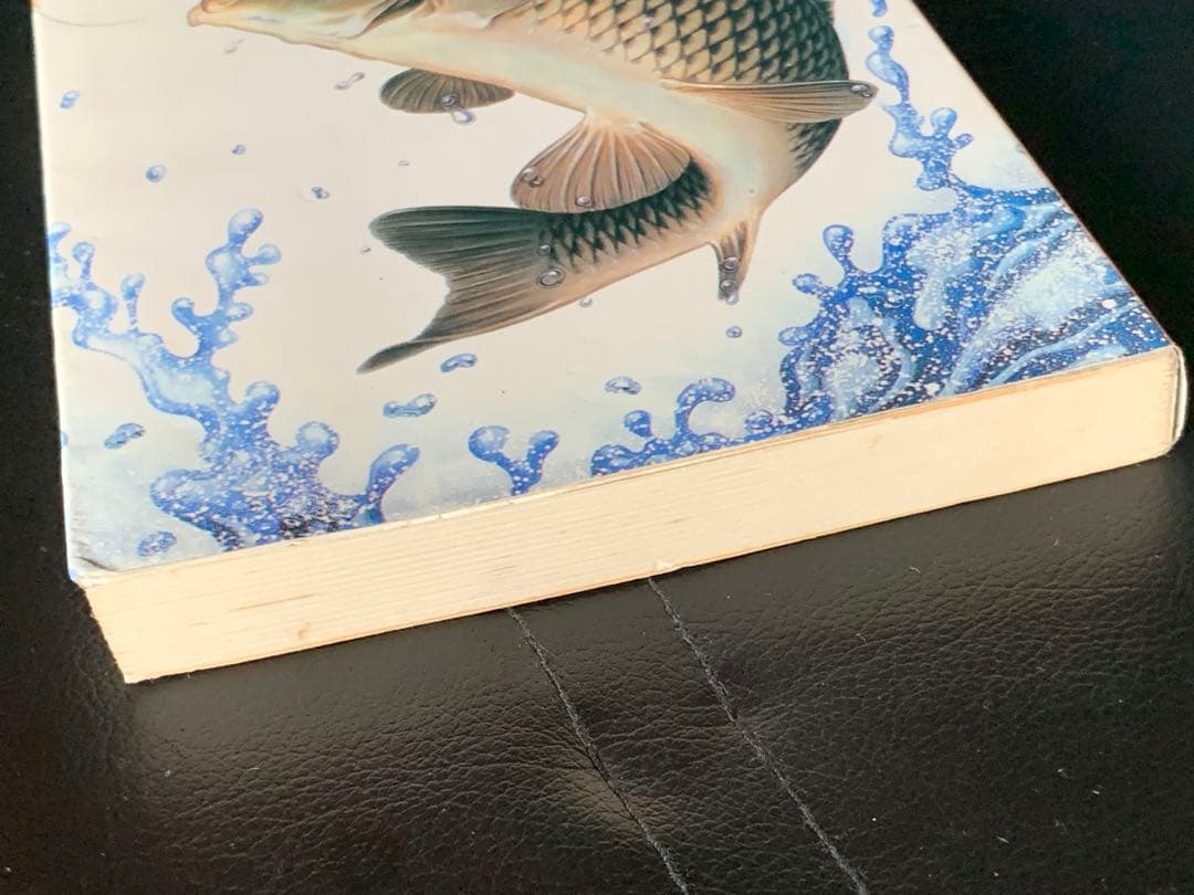 【稀少】イラスト版　コイつり入門　村山幸一著　ナツメ社