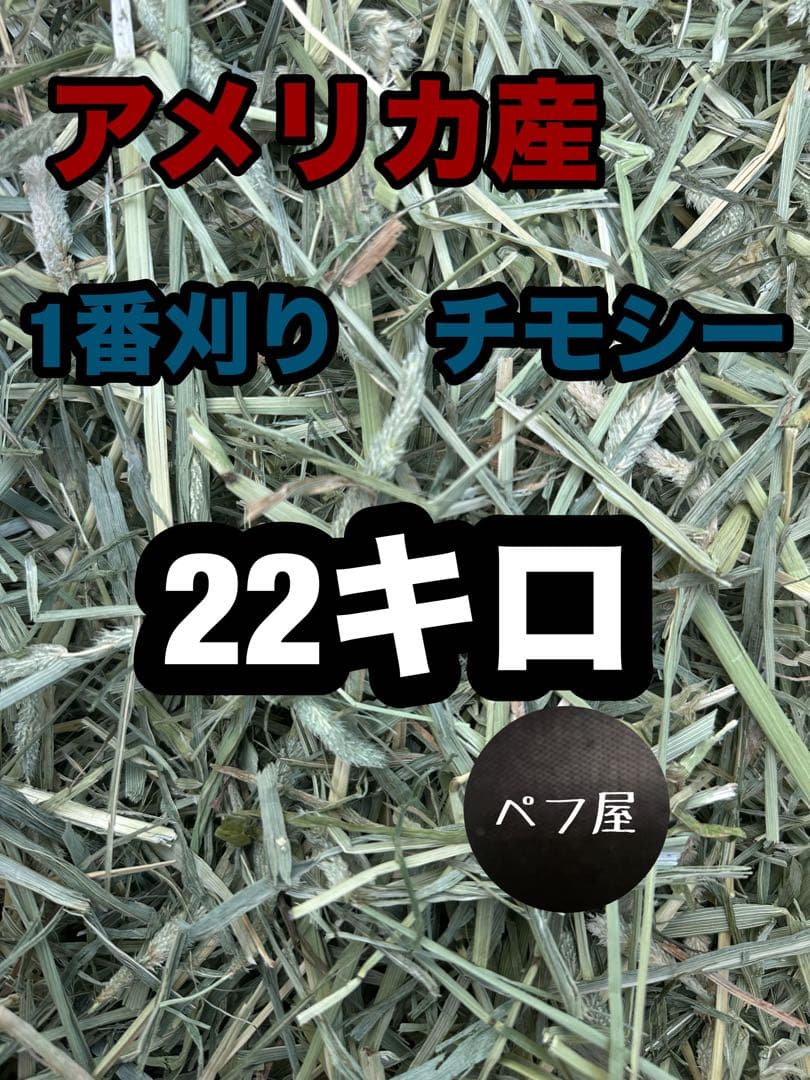 ごろう」チモシー　22キロ　ヘイキューブ6キロ 楽天市場】アルファルファキューブ／ヘイキューブ 30kg以上（15kg x 2