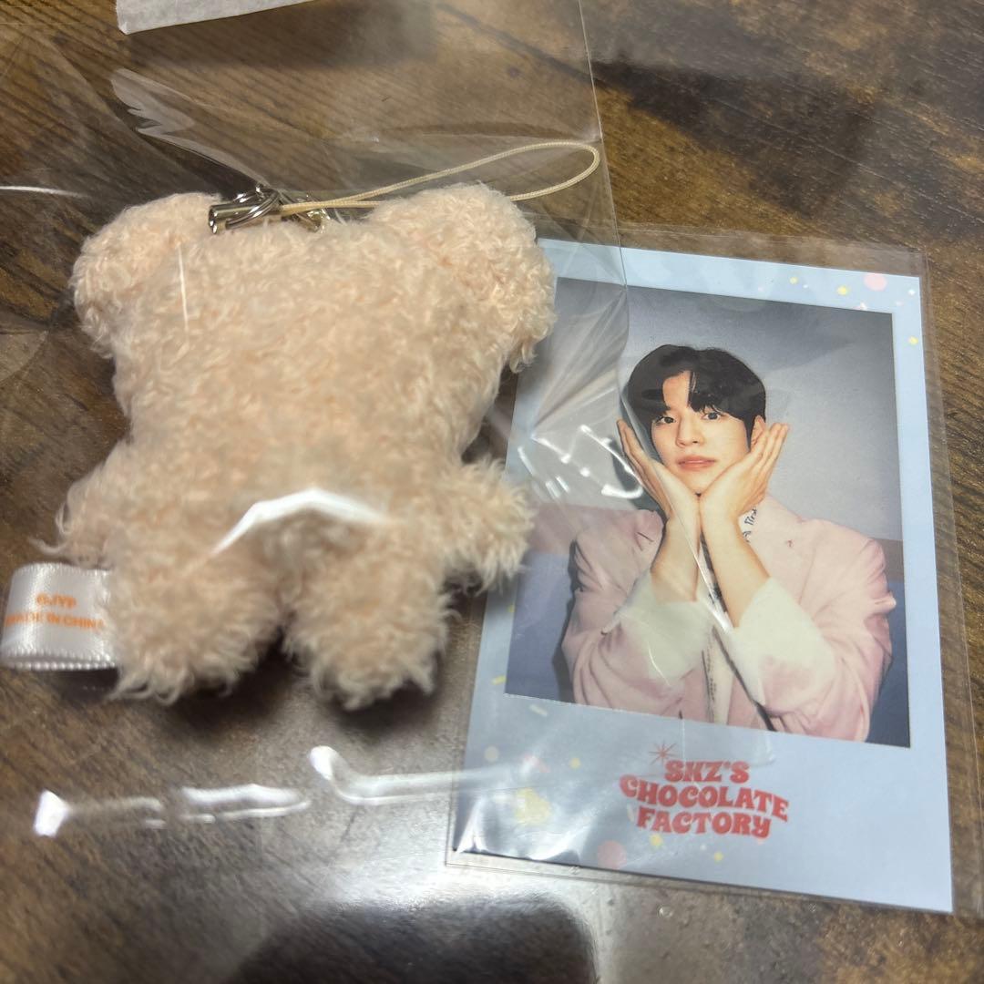 Stray Kids スンミン パピーム 10cm マイクロ スキズ ポラロイド