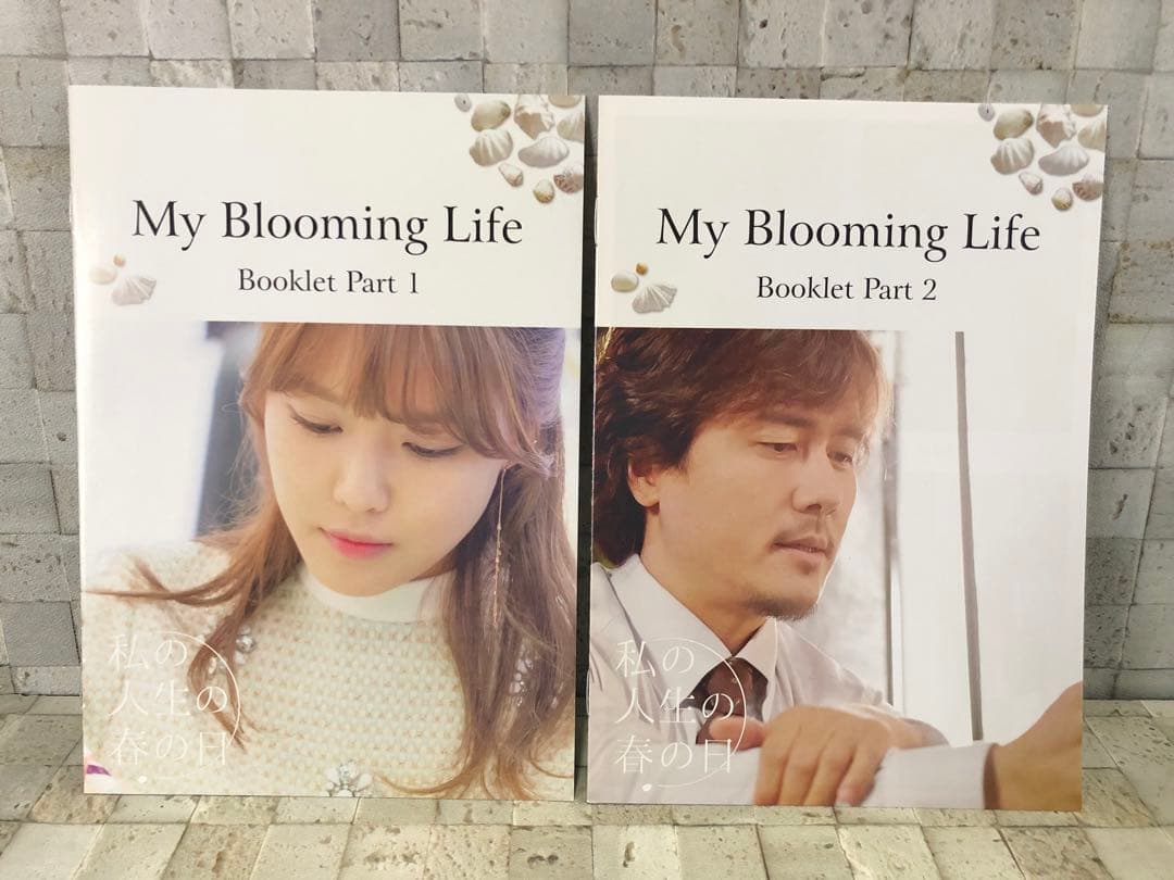 韓国ドラマ 『私の人生の春の日 DVD-BOX I、II セット』