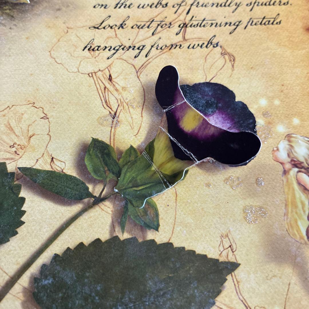 英語版シシリー・メアリー・バーカー フラワーフェアリーズ仕掛け絵本