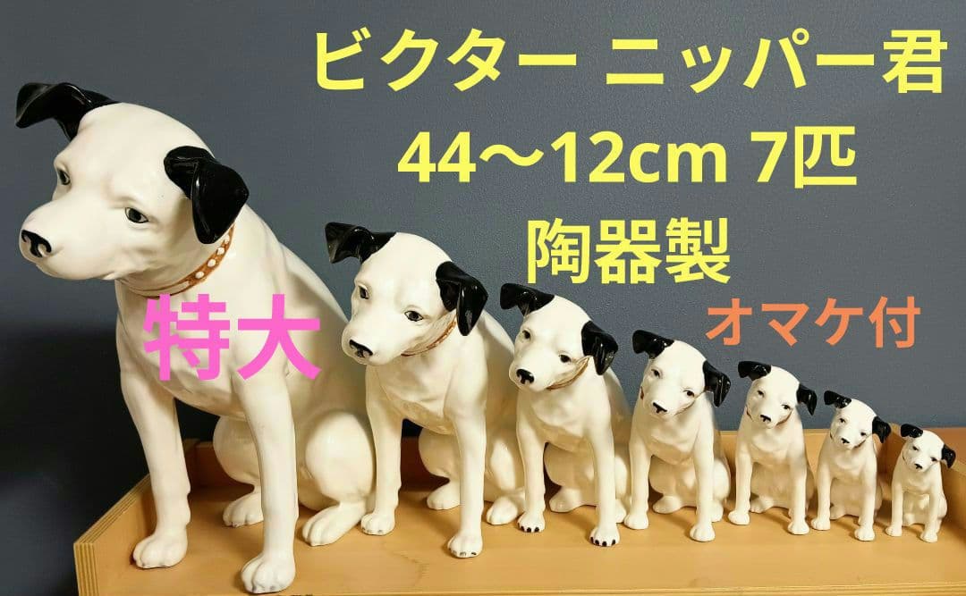 ビクター ニッパー犬 ニッパー 特大44cm～ 7匹 手渡し希望 千葉県