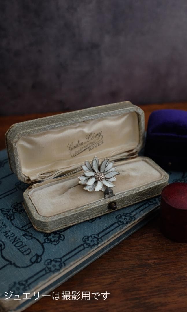イギリスアンティークブローチケース＊英国アンティークボックス