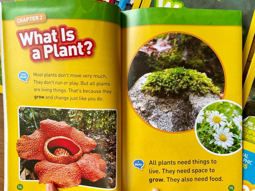 National Geographic Kids L1-3英語絵本125冊セット - メルカリ