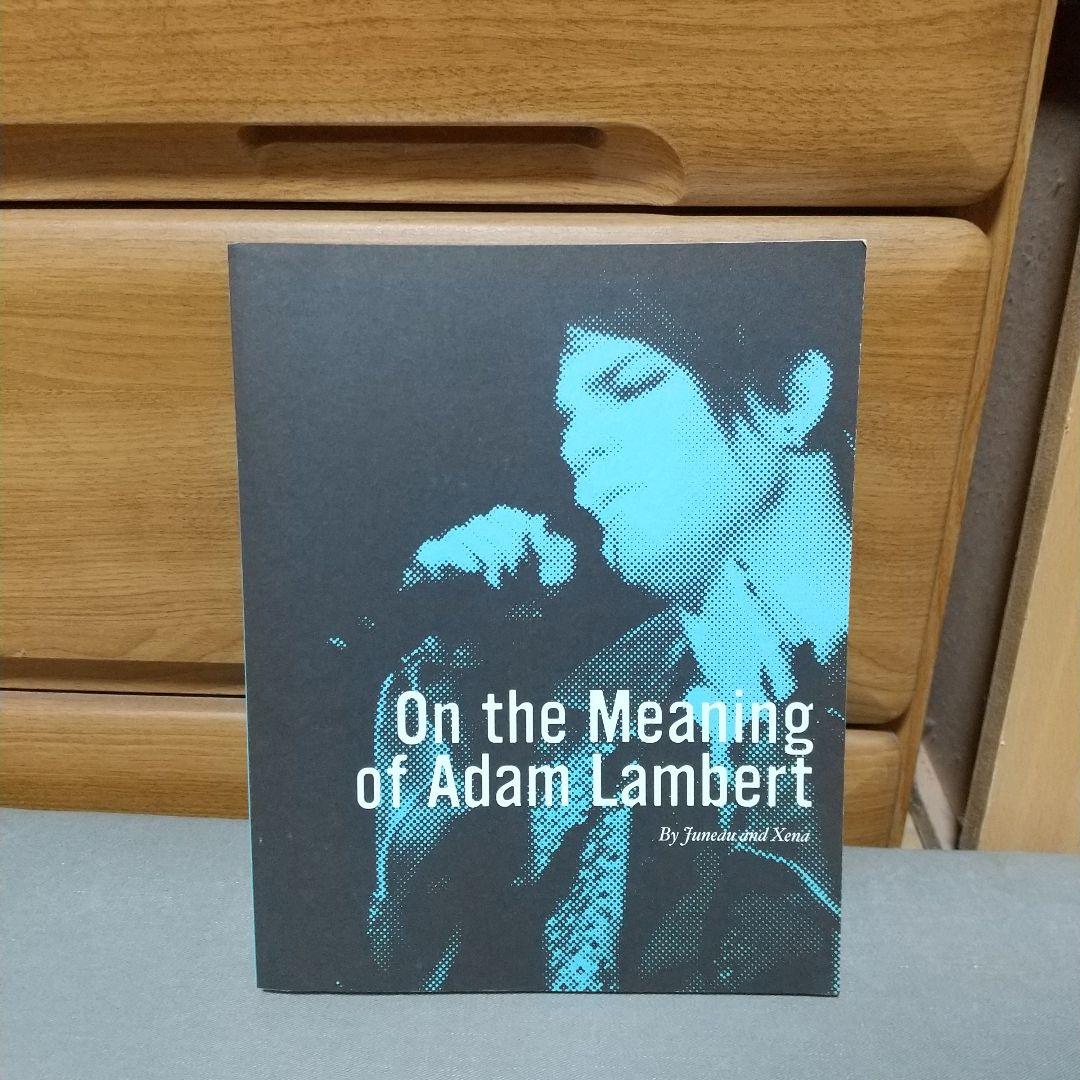 On the Meaning of Adam Lambert 英語版　k1 On the Meaning of Adam Lambert: Juneau: 9780615331690: Amazon.com