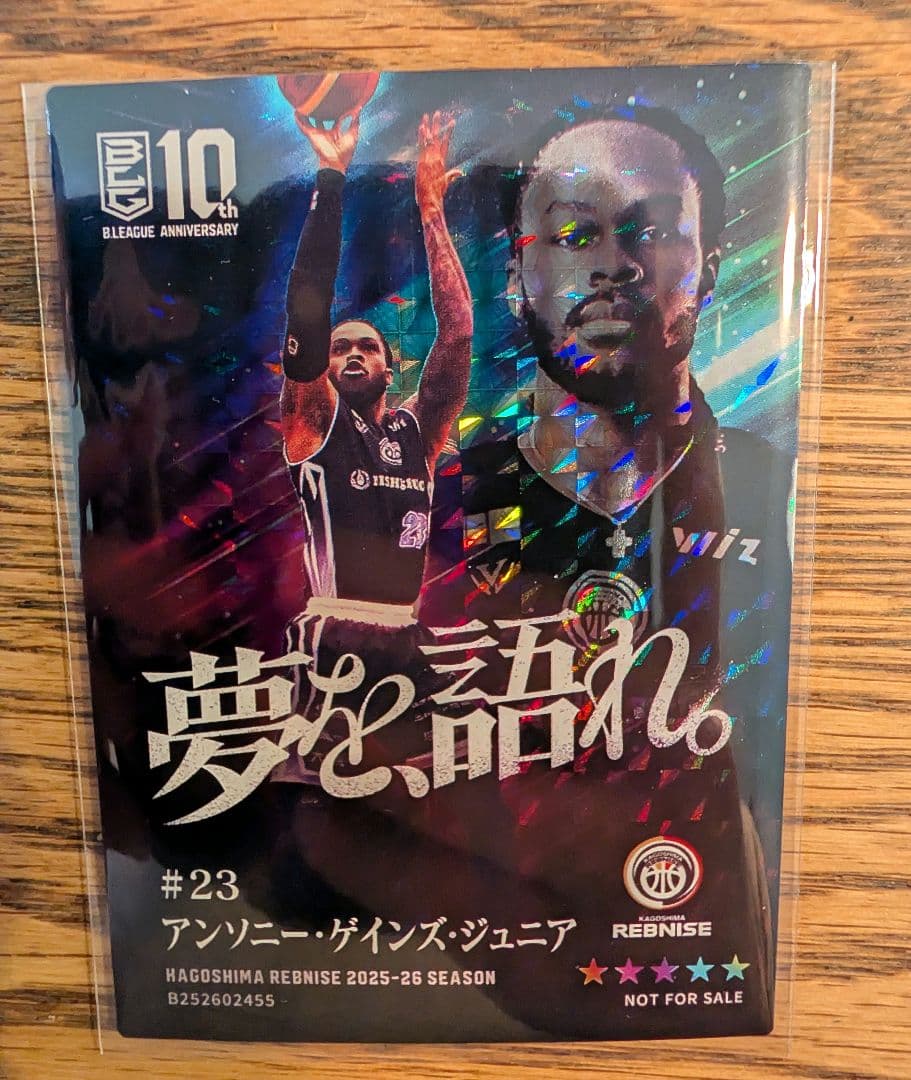 B.LEAGUEカード 2025-26 鹿児島レブナイズ ゲインズ・ジュニア選手