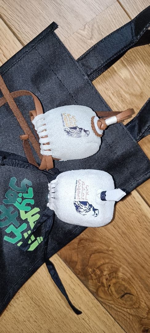 非売品】激レアVIP限定サウジアラビア館の美しいノベルティ - メルカリ