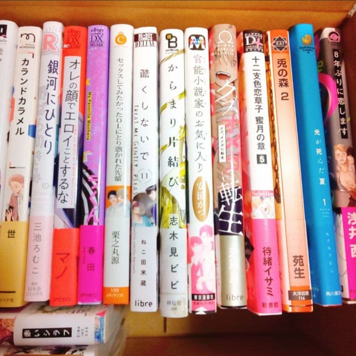 人気作まとめうり23冊■新品未読品■ほぼ初版■ BLコミック 漫画 ビーエル