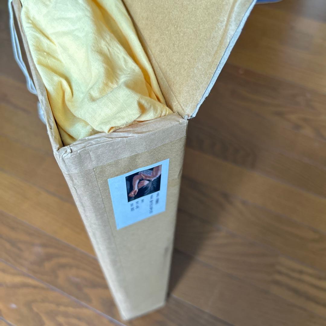 絵画 リアリズム 油彩画 女性 中島健太 「象が出る夢を見た」 - メルカリ