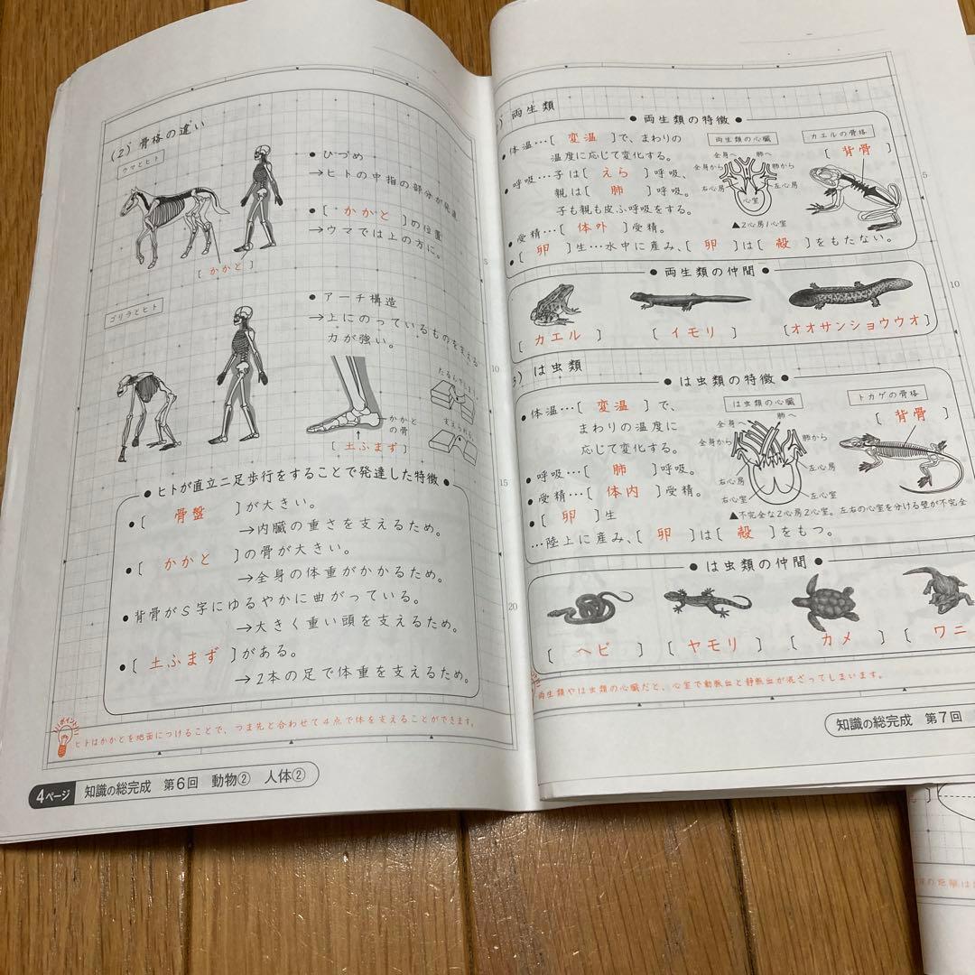 SAPIX サピックス 理科6年 知識の総完成 赤シート 未使用解答用紙付き