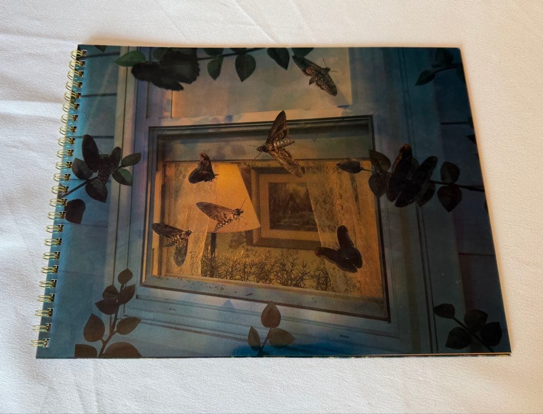 稀少DM COMME des GARCONS×Gregory Crewdson Gregory Crewdson's kleinste details - MASTERS EXPO