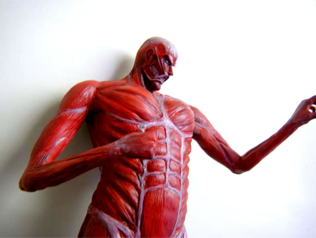 超大型巨人 「進撃の巨人」 別冊マガジン2011年1月号応募者全員