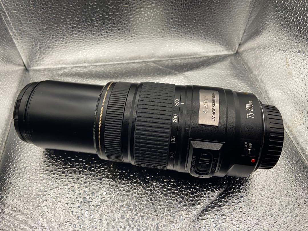 週末値引中！Canon EF 75-300mm f/4-5.6 IS USM